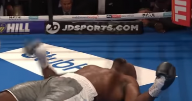 whyte vs chisora knockout
