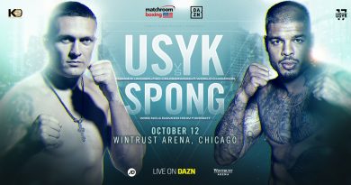 usyk vs spong