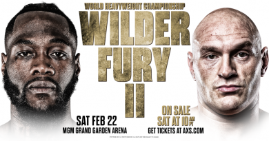 wilder vs fury 2
